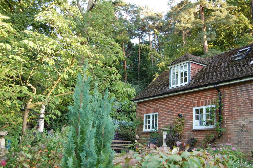 The Haven At Talysarn Lejlighed Ascot  Værelse billede